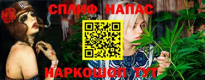 молекула духа Ярославль