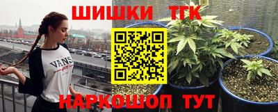 молекула духа Ярославль