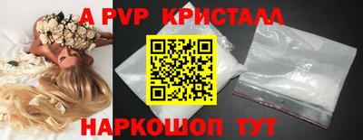 молекула духа Ярославль