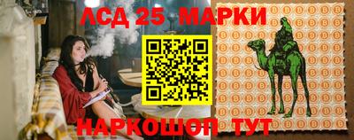 молекула духа Ярославль