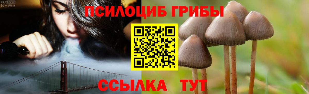 Псилоцибиновые грибы мицелий Куйбышев